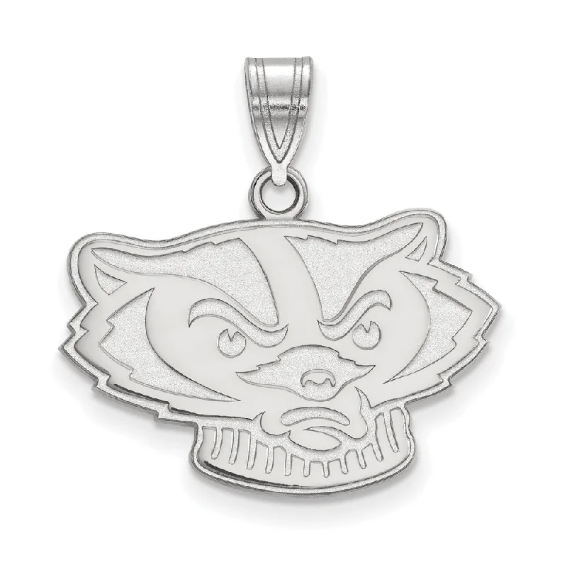 Amethyst pendants for a pop of purple color 14k White Gold U. of Wisconsin Medium Mascot Pendant Amethyst pendants for a pop of purple color 14k White Gold U. of Wisconsin Medium Mascot Pendant